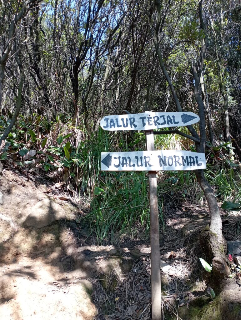 Gunung Papandayan