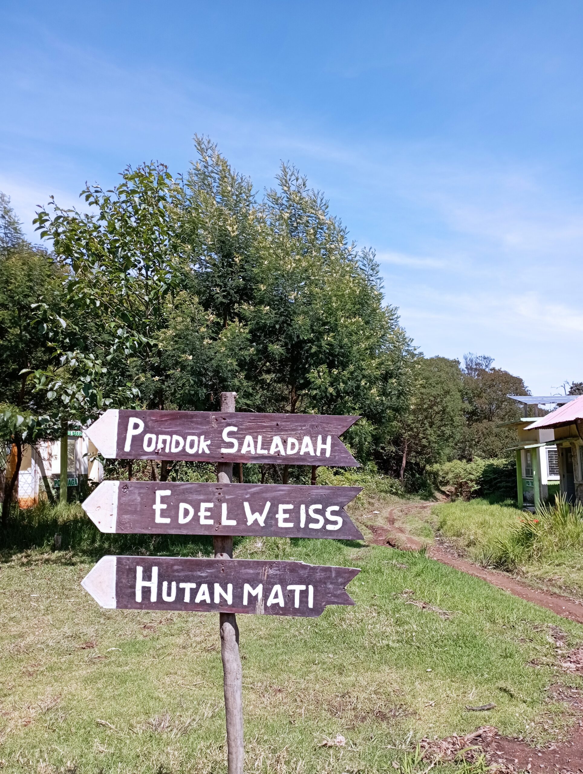 Gunung Papandayan